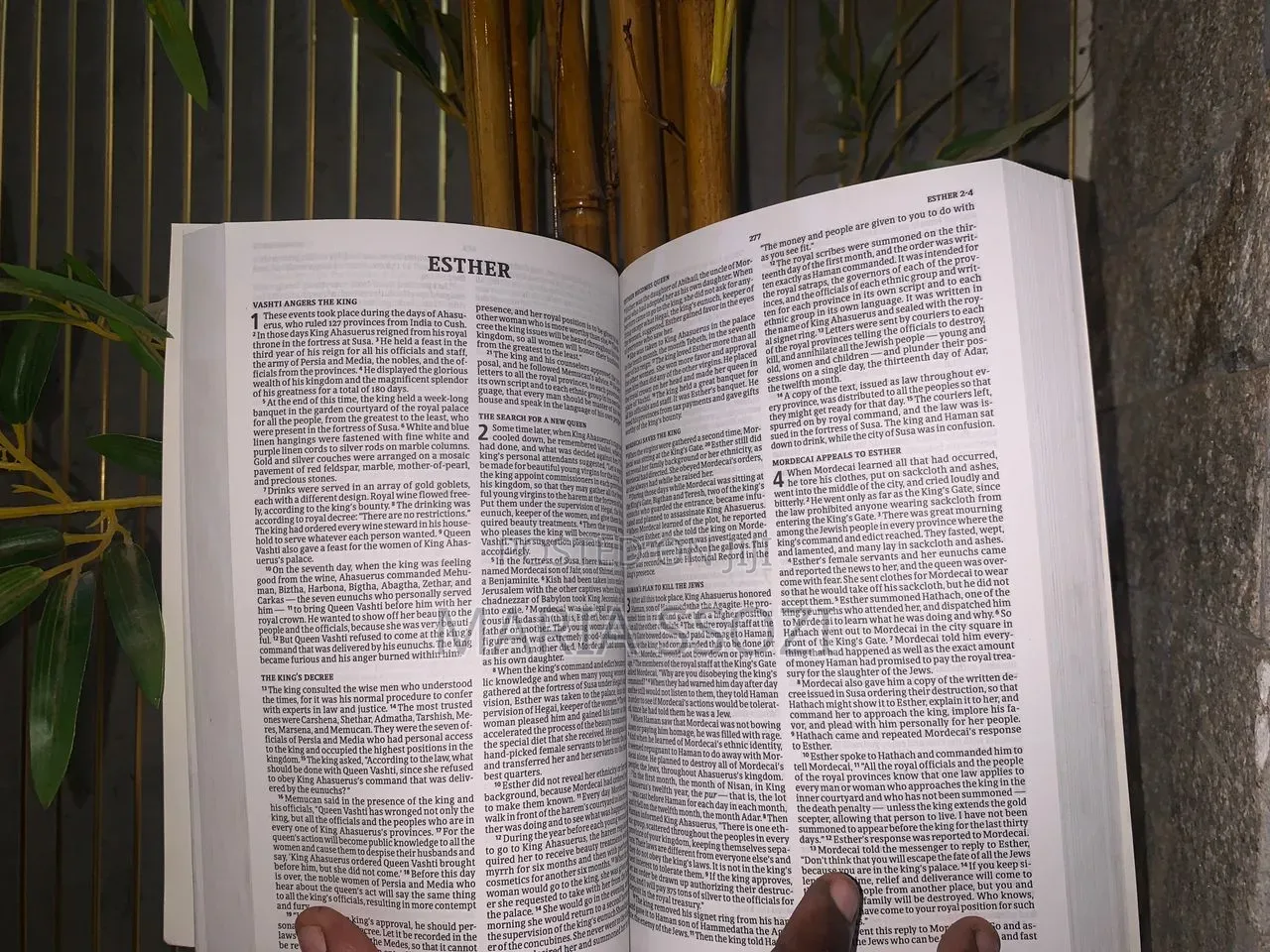 Holy Bible for Kids( Children)