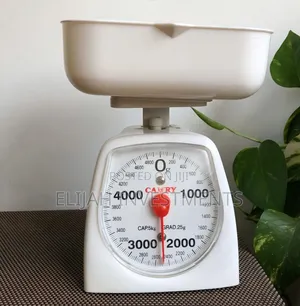 Camry Mechanical Kitchen Scale