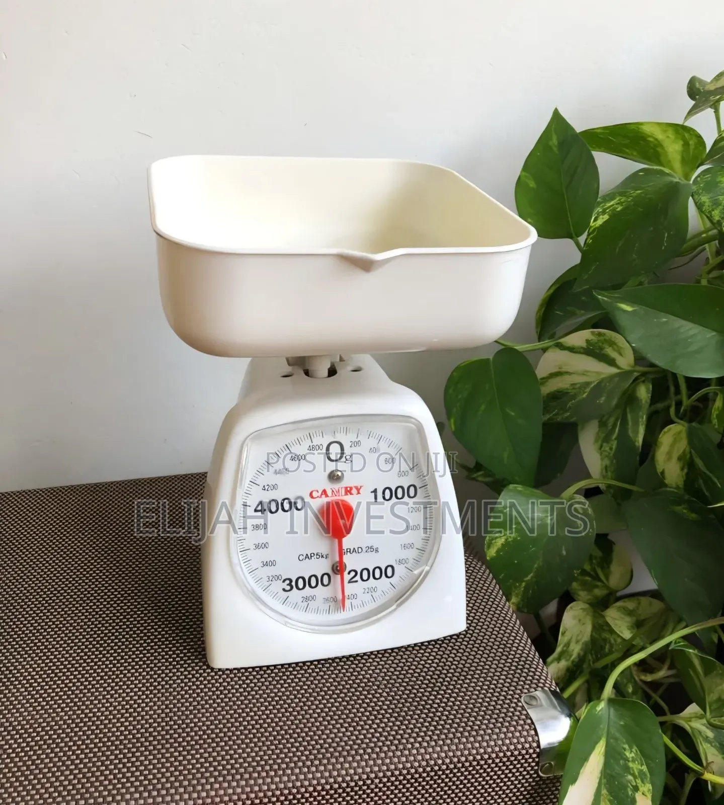Camry Mechanical Kitchen Scale