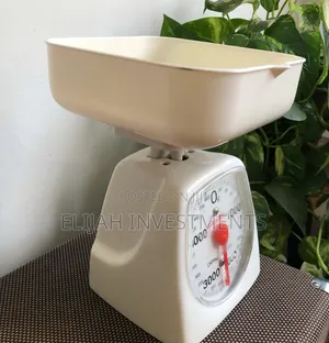 Camry Mechanical Kitchen Scale