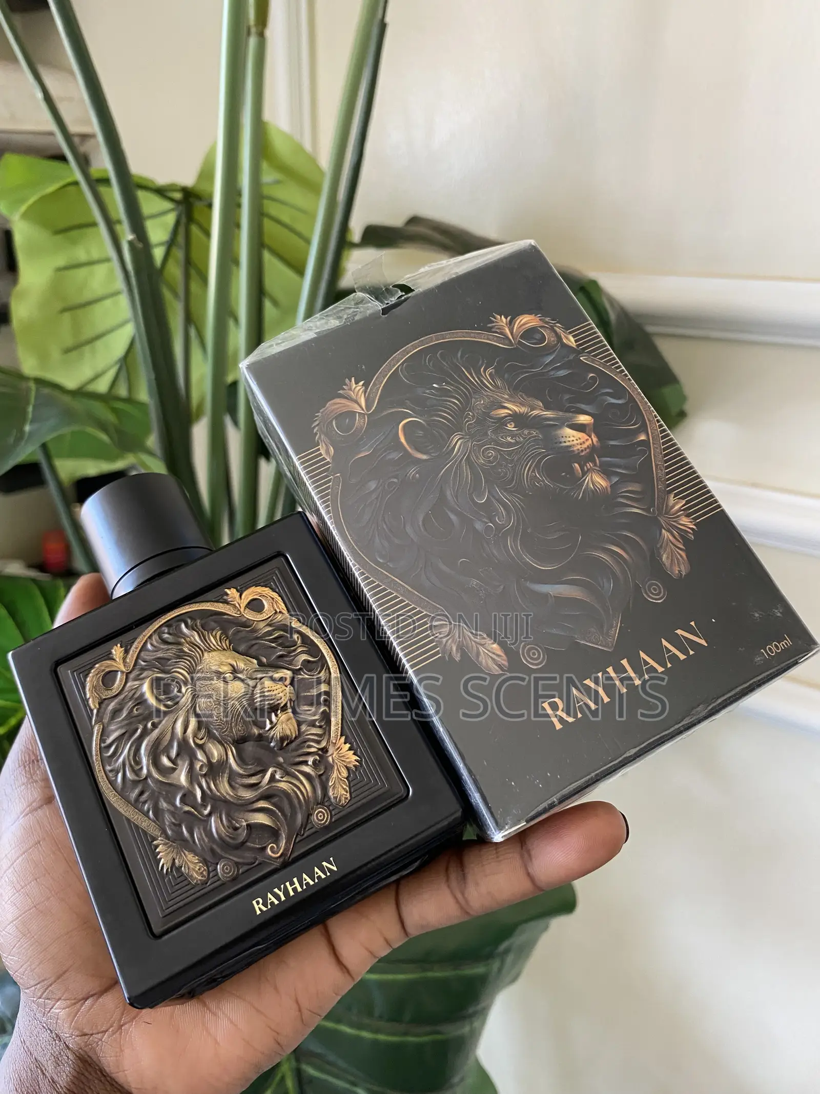 Rayhaan Lion
