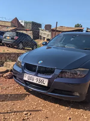 BMW 320i 2010 Blue