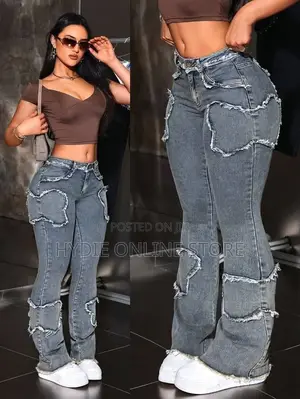 Classic Flair Ladies Stylish Jean
