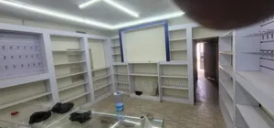 Mordern Shelves for Businesses and Homes