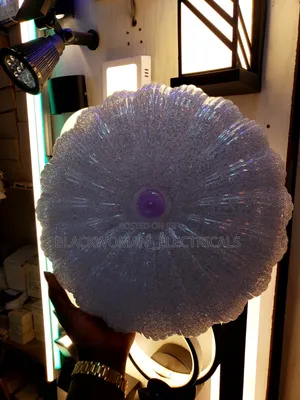 Medium Elegant Ceiling Light Changing 3colors