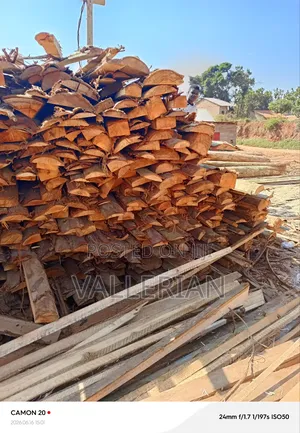 Makooko Tree Offcuts