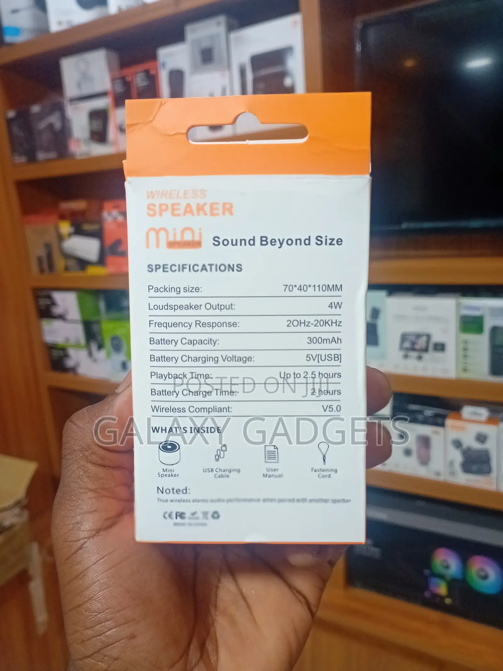 TWS Mini Speaker