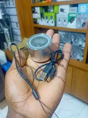 TWS Mini Speaker