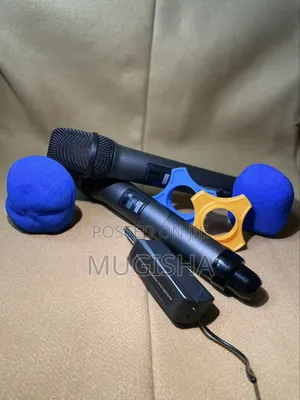 Professional Wireless Microphone