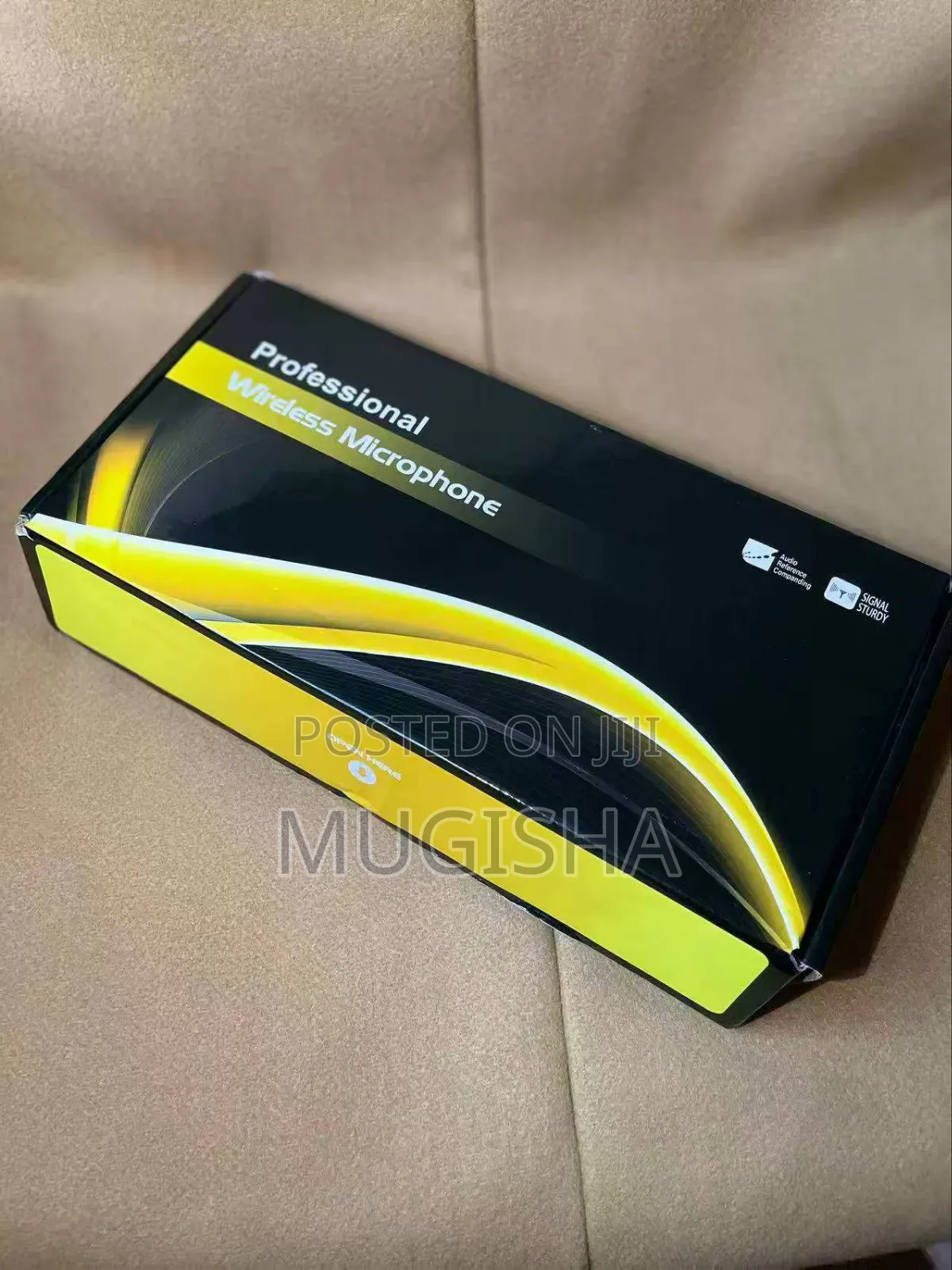 Professional Wireless Microphone