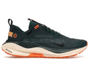 Nike Infinityrn 4 Gore-Tex.