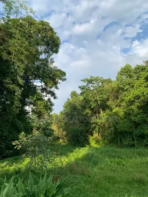 Prime 1 Acre of Land for Sale – Kikonge, Mityana Road