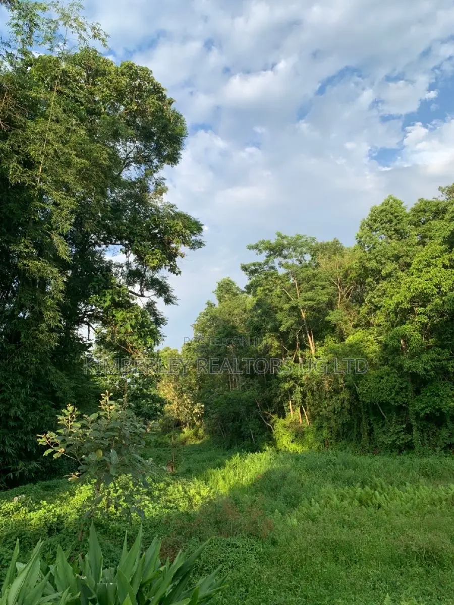 Prime 1 Acre of Land for Sale – Kikonge, Mityana Road