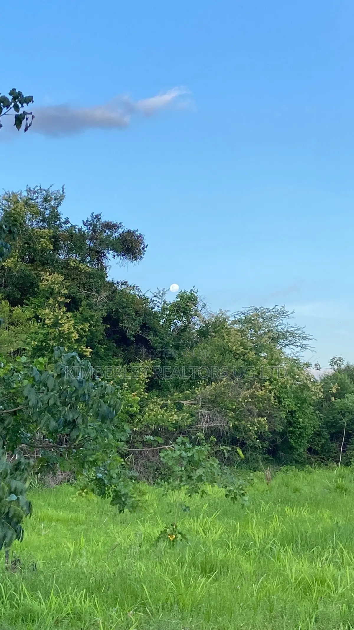 Farming Land for Sale – Kayabwe, Masaka Road