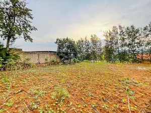 8bdrm Block of Flats in Division A for sale