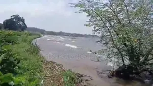 15 Acres Prime Land for Sale in Garuga Entebbe