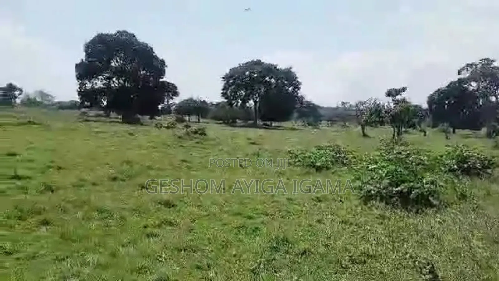 15 Acres Prime Land for Sale in Garuga Entebbe