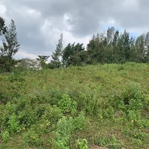  Prime Plot for Sale – Seguku Katale