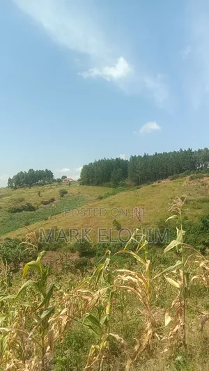 50by100 Plot With Ready Title