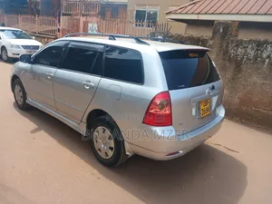 Toyota Corolla Fielder 2005 Silver