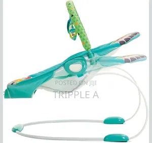 Mastela Vibration and Musical Baby Bouncer Rocker