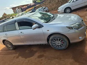 Toyota Corolla Fielder 2010 Silver
