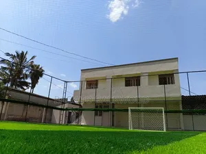 Football Turf