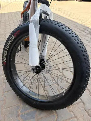 Fat Tire Bikes