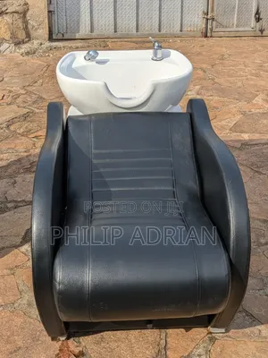 Executive Salon Sink