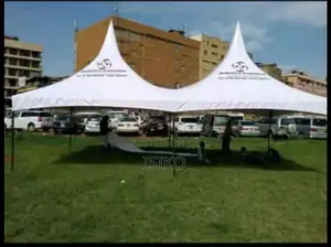 Pure White Party Tent African Material