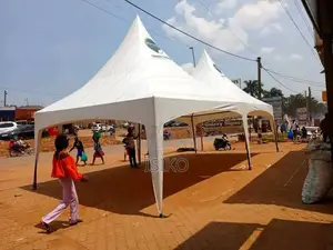 A Butterfly Korean Double Bridal 100 Seater Tent