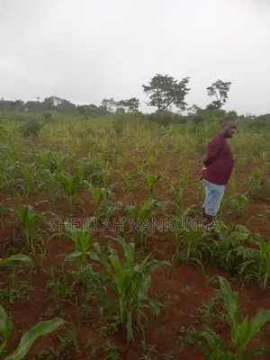 Residential Plots in Namayumba