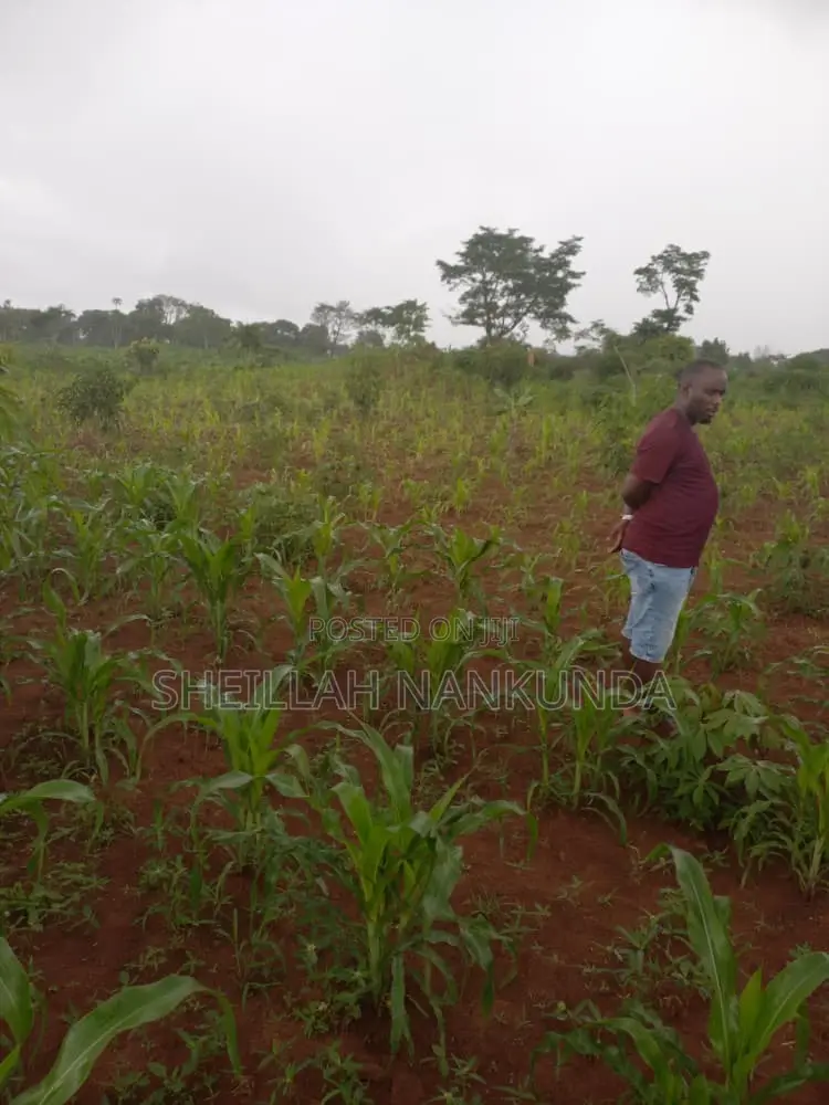 Residential Plots in Namayumba