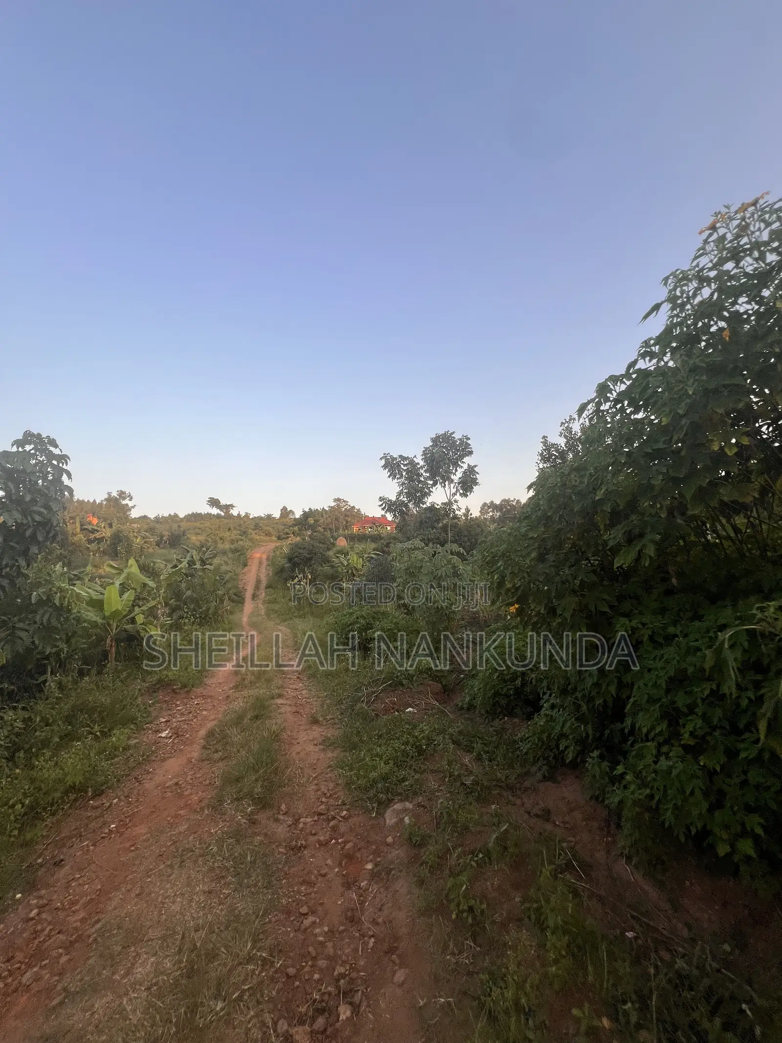 Residential Plots in Namayumba