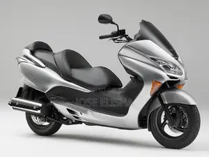 Honda Forza 2010 Silver