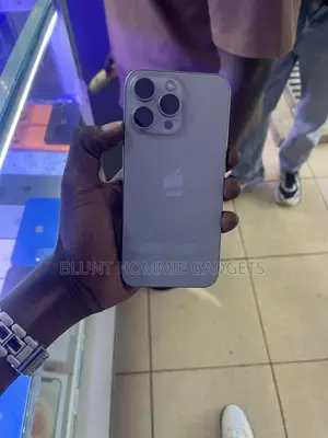 Apple iPhone 15 Pro Max 256 GB Gray