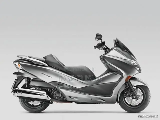 Honda Forza 2010 Silver