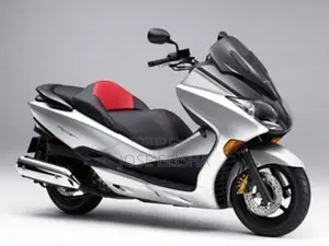 Honda Forza 2010 Silver