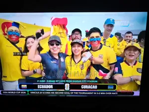 TCL Qled 50 Inch