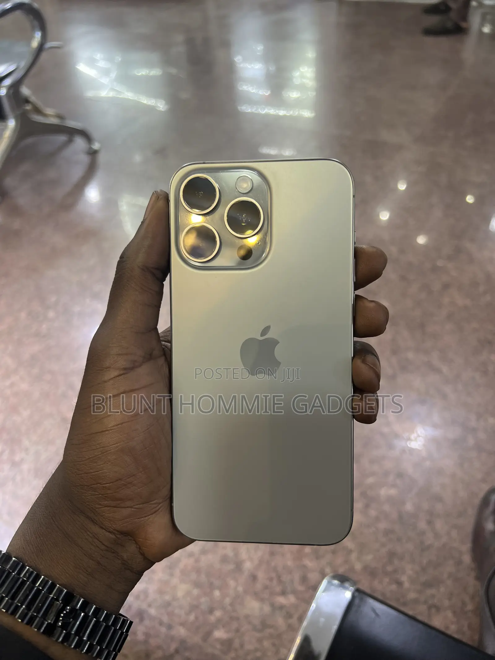 Apple iPhone 15 Pro Max 256 GB Gray