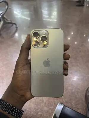 Apple iPhone 15 Pro Max 256 GB Gray