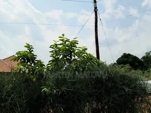 Kiwenda-Sitabaale, 100by100, 60m