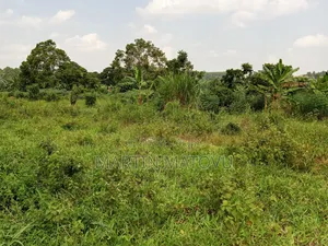 Kiwenda-Balitta, 50by100, 25m