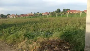 Gayaza-Manyangwa, 50by100, 70m