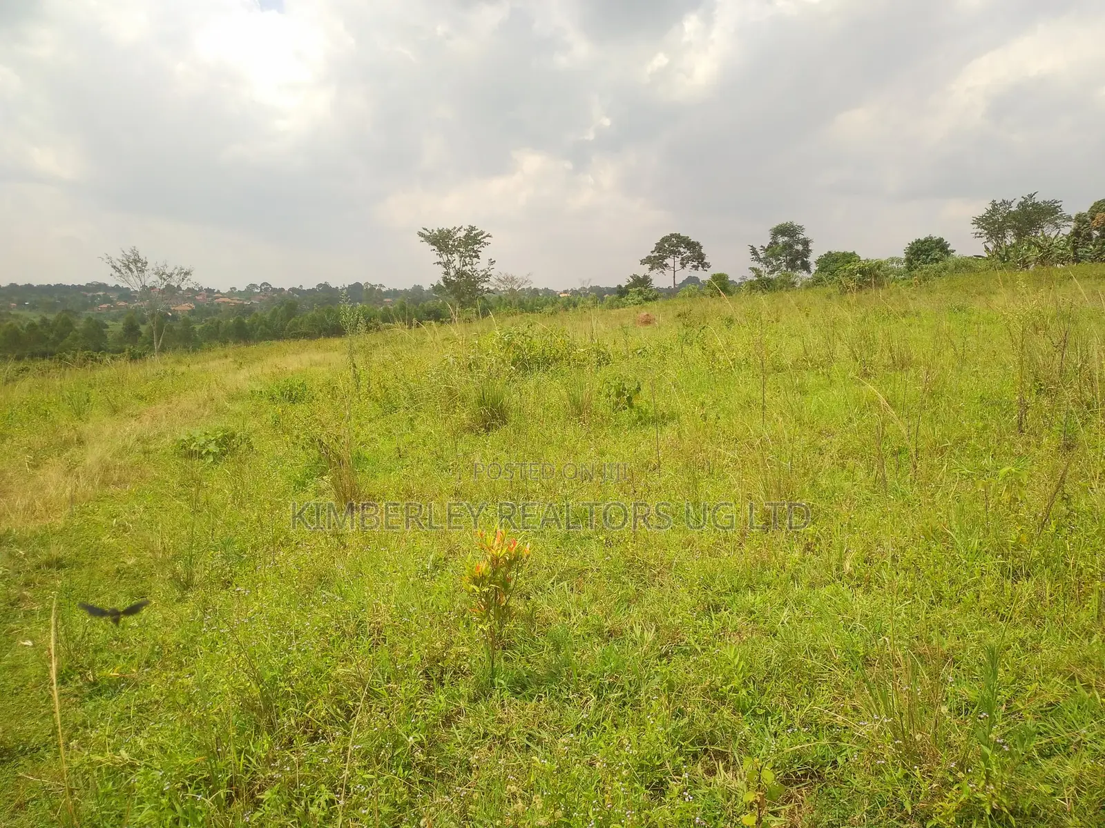 Prime Plots for Sale – Matugga Sanga