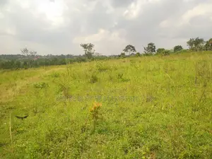 Prime Plots for Sale – Matugga Sanga