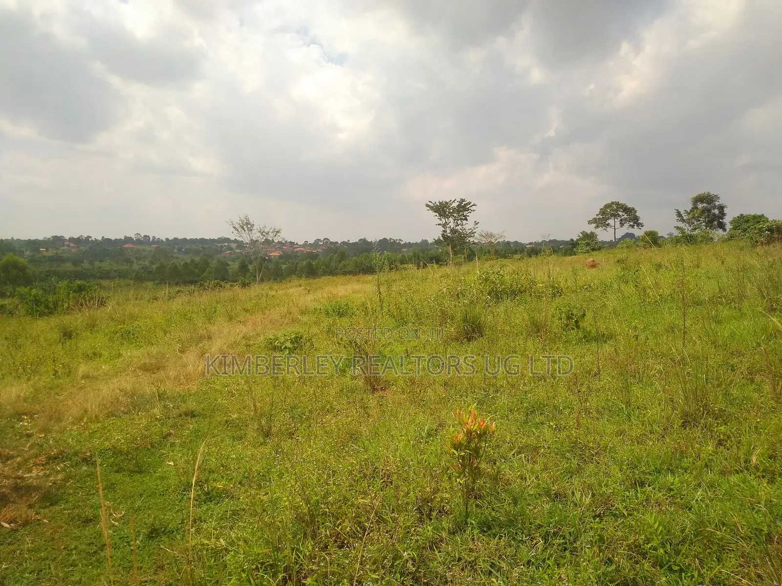 Land for Sale Bugoma Kitwe Bugerere