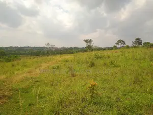 Land for Sale Bugoma Kitwe Bugerere