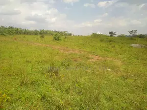 Land for Sale Bugoma Kitwe Bugerere