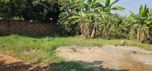Land 40ft by 48ft on Sell